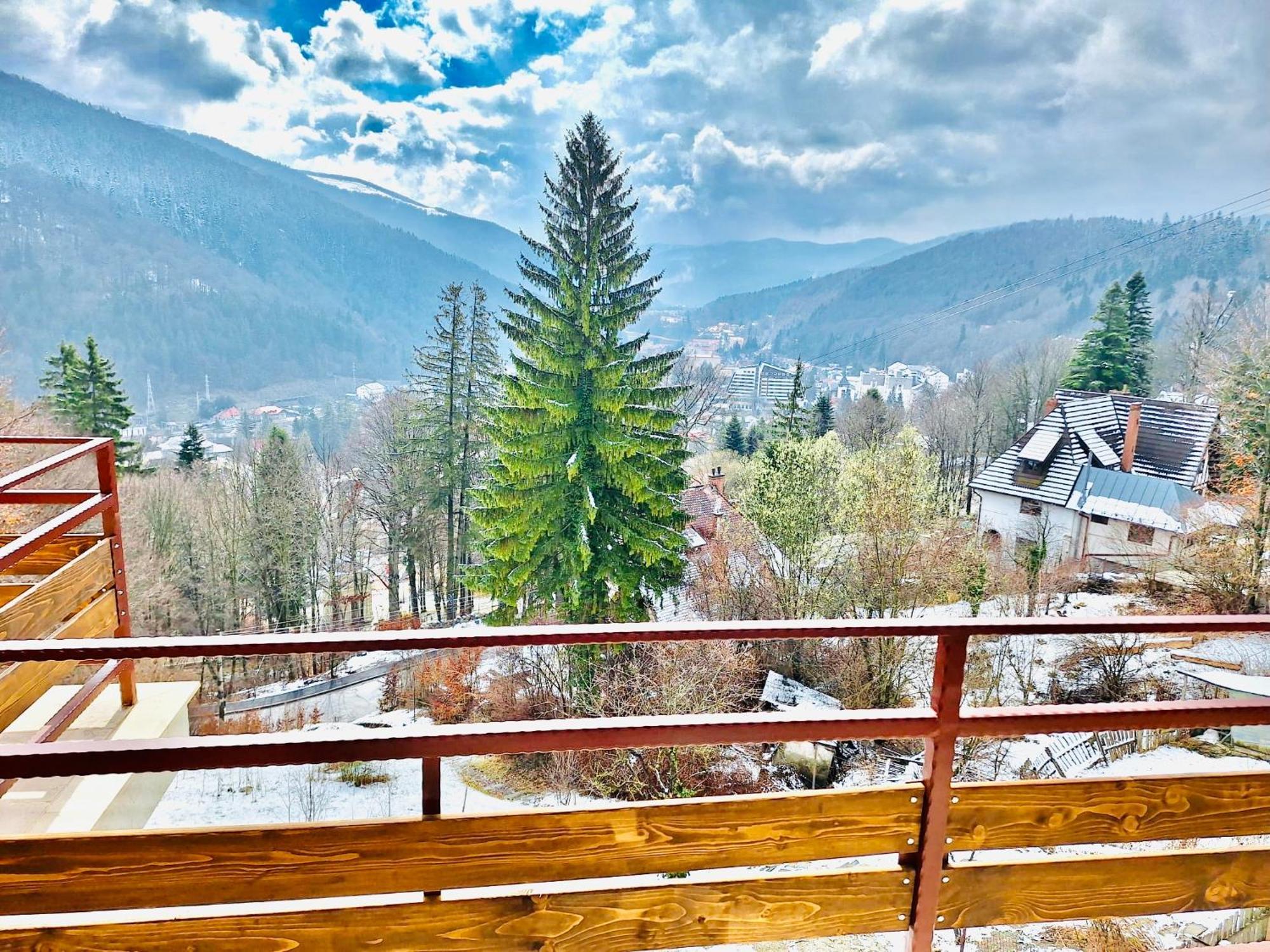 Stone House Sinaia Villa Bagian luar foto
