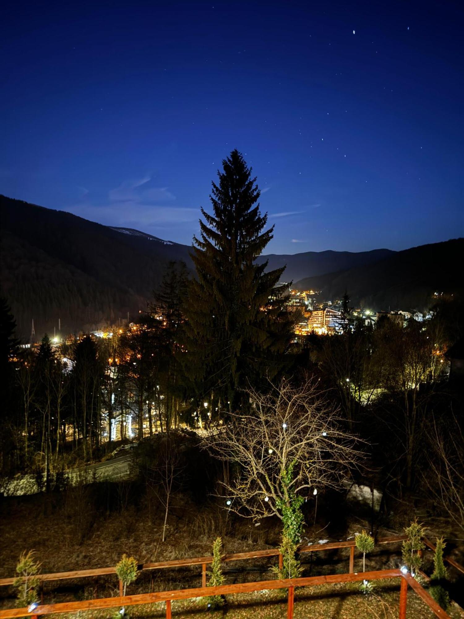 Stone House Sinaia Villa Bagian luar foto